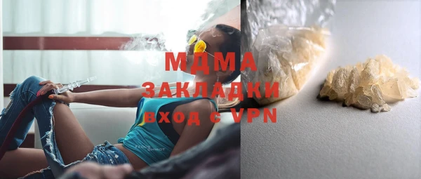 шишки Гусиноозёрск