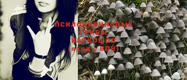 jwh Горно-Алтайск