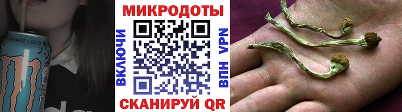 Псилоцибиновые грибы Cubensis  Купить закладки  Олонец 